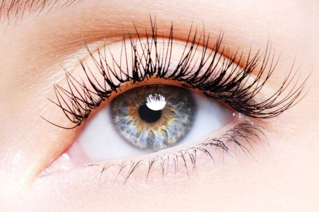 lash extensions in Santa Clara